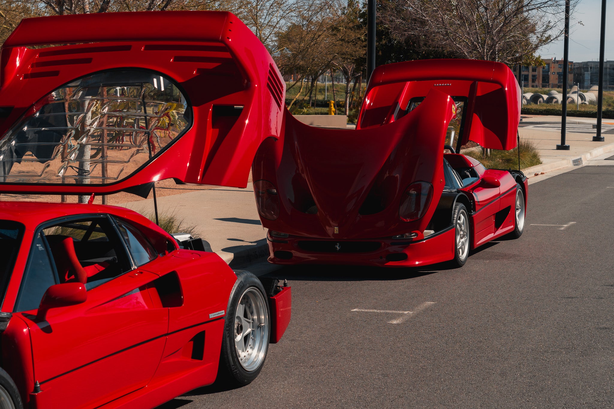 F40 or F50...Which are you taking?